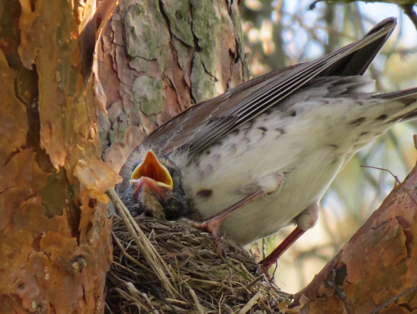 Valokuvaaja: Jaana Talvinen