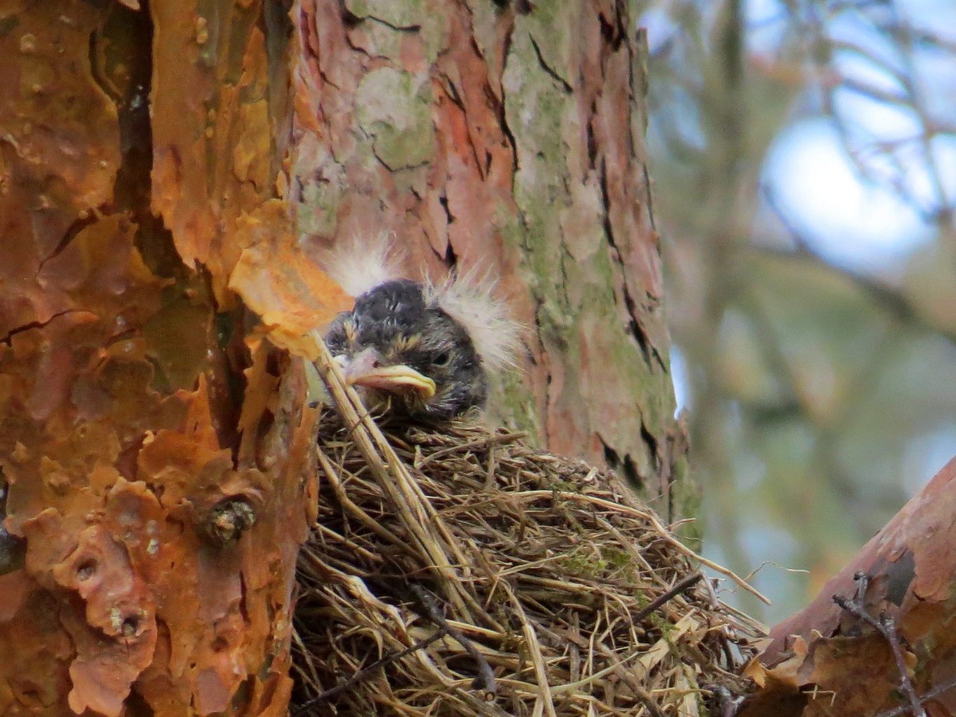 Valokuvaaja: Jaana Talvinen