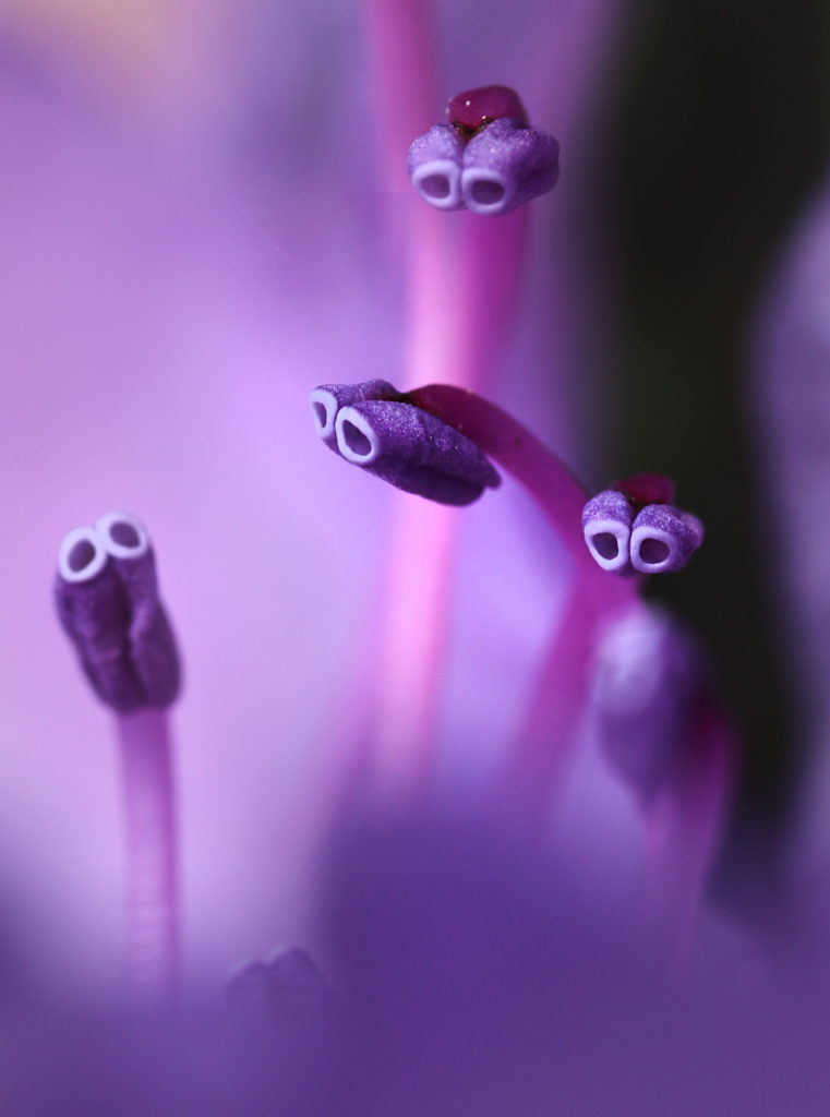 Valokuvaaja: Tarja Porkkala Valokuvaaja: Tarja Porkkala