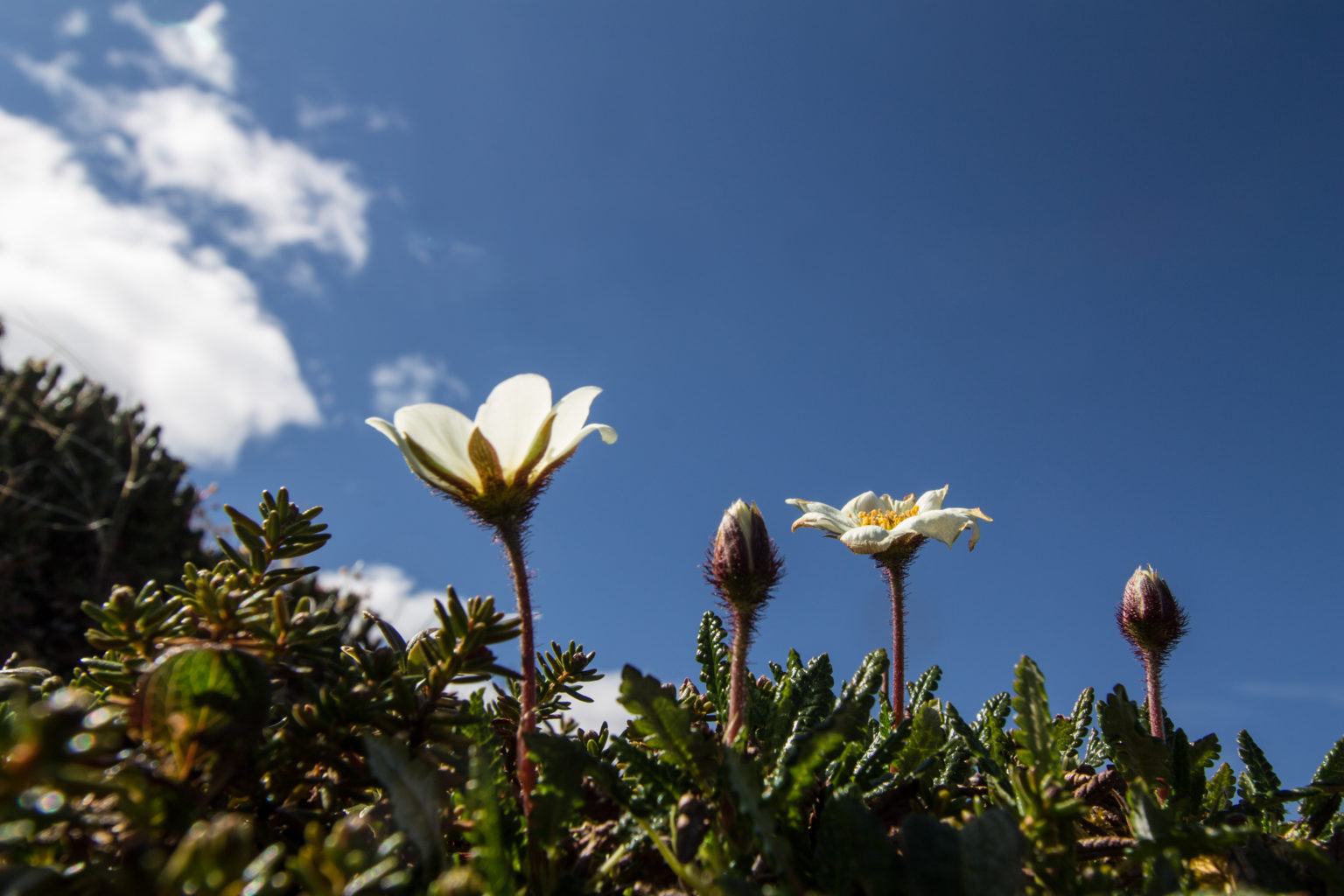 Valokuvaaja: Katri Niskanen Valokuvaaja: Katri Niskanen