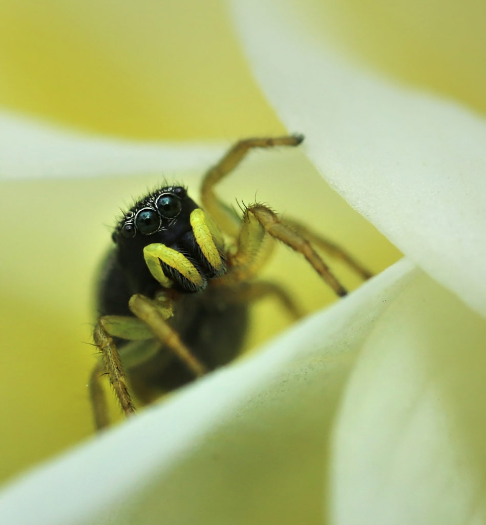 Valokuvaaja: Tarja Porkkala Valokuvaaja: Tarja Porkkala