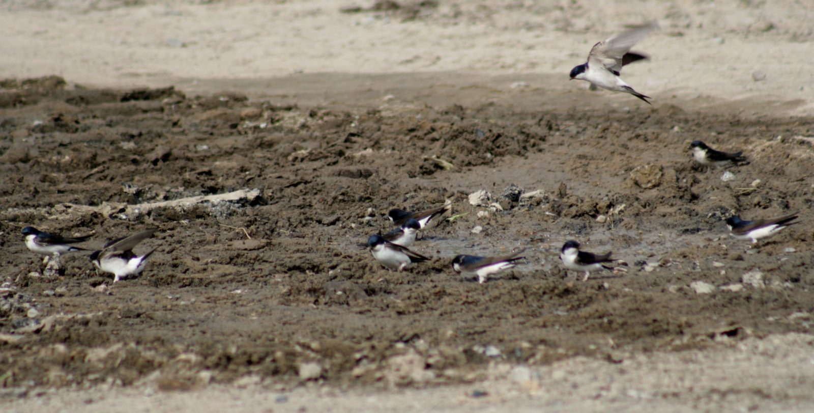 Valokuvaaja: Pirkko Siukonen