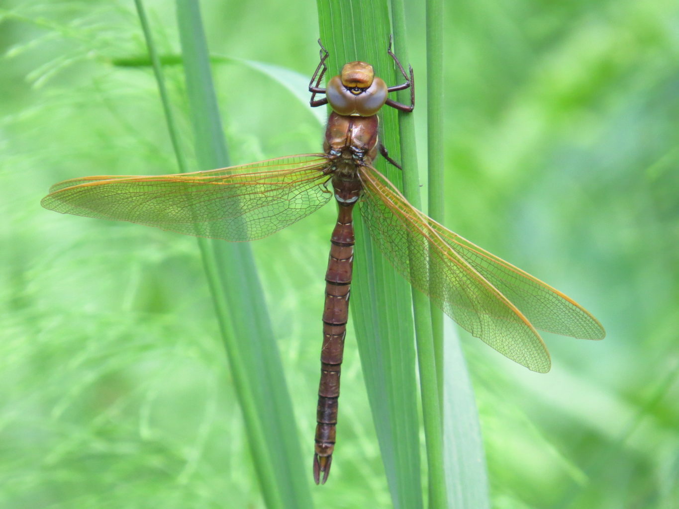 Valokuvaaja: Jaana Talvinen