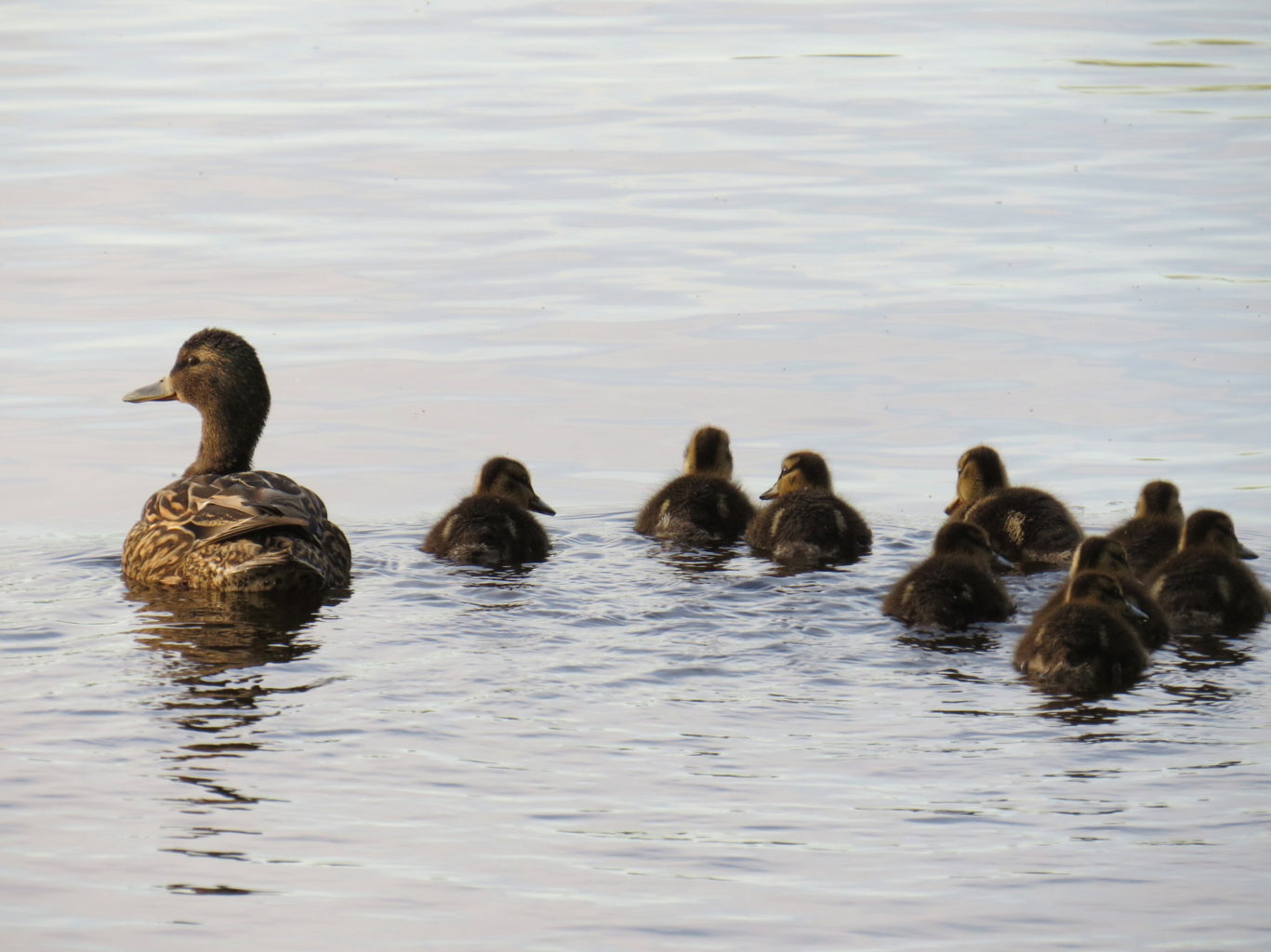 Valokuvaaja: Jaana Talvinen