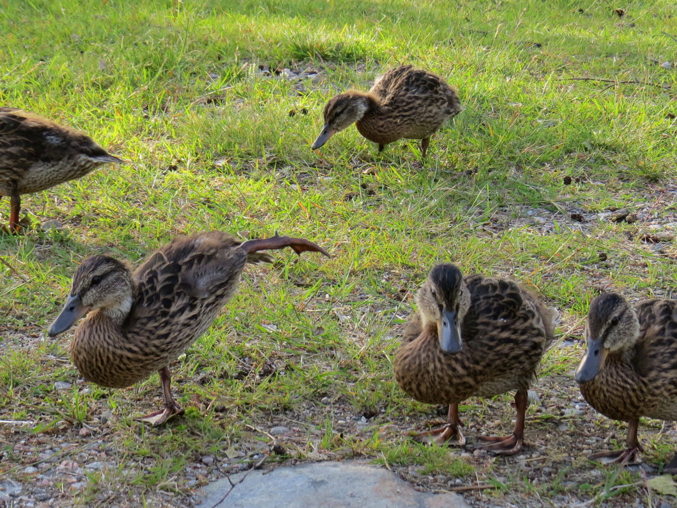 Valokuvaaja: Jaana Talvinen Valokuvaaja: Jaana Talvinen