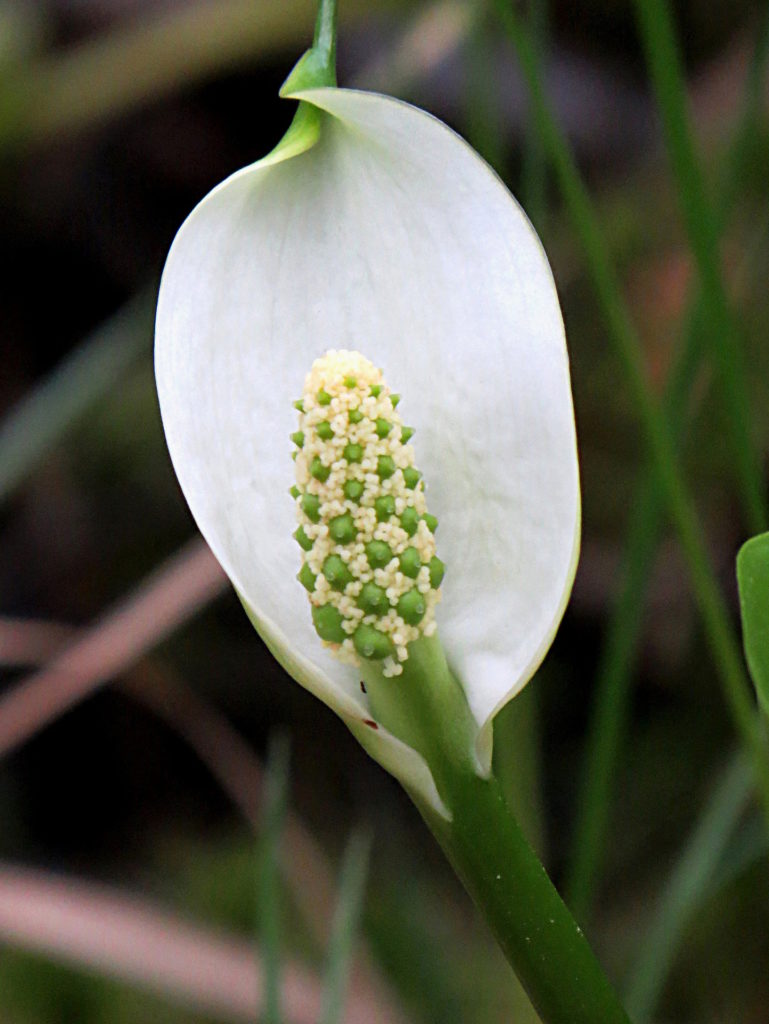 Valokuvaaja: Jaana Talvinen