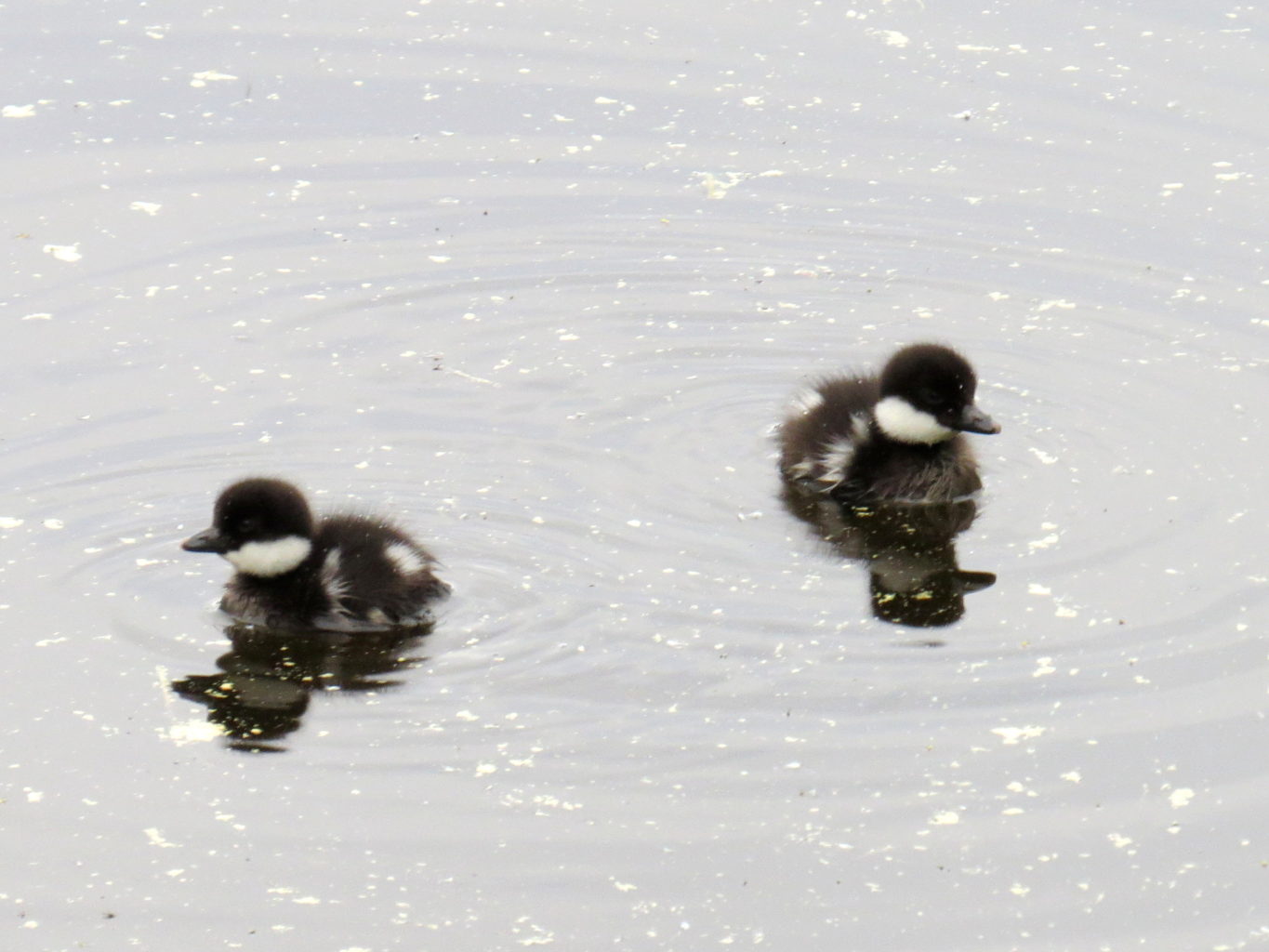 Valokuvaaja: Jaana Talvinen