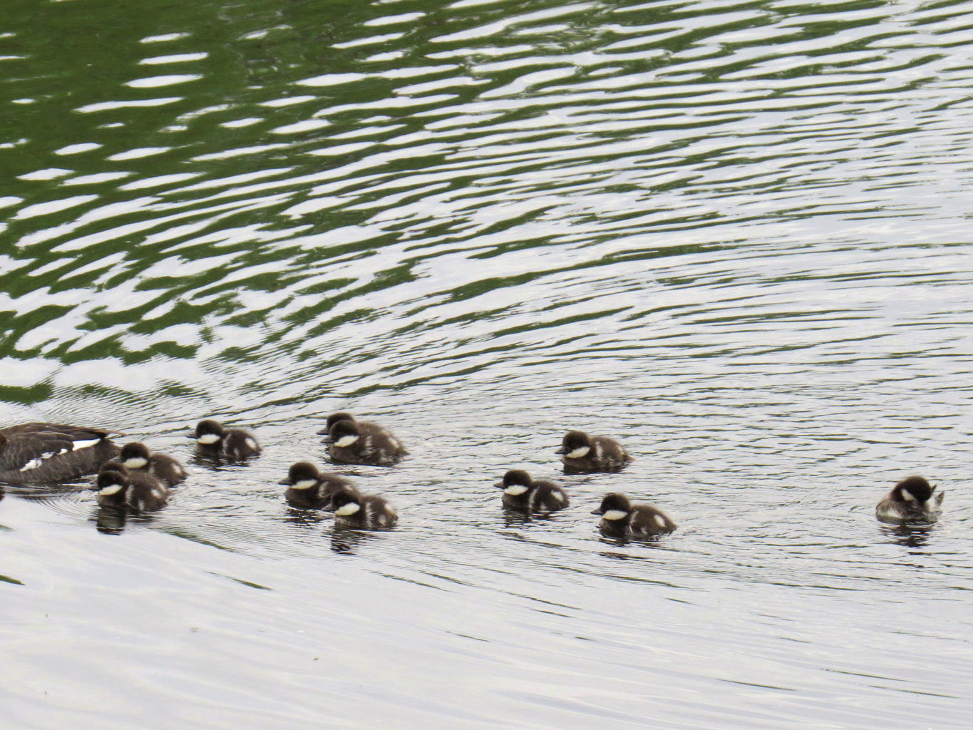 Valokuvaaja: Jaana Talvinen