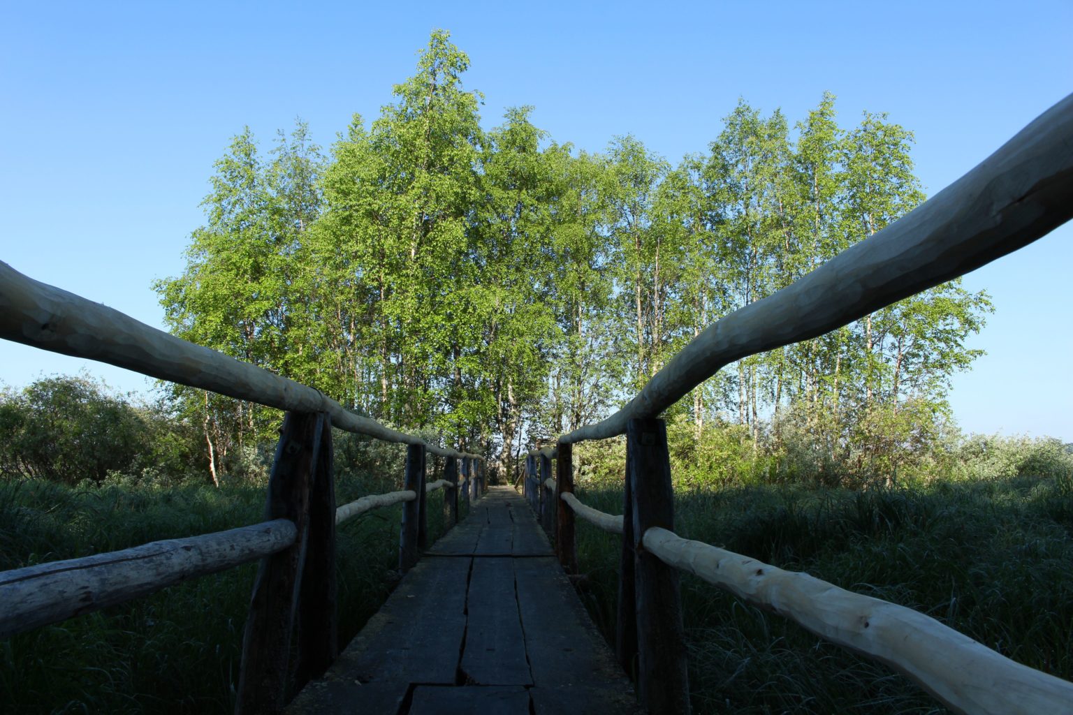 Valokuvaaja: Aimo Räty Valokuvaaja: Aimo Räty