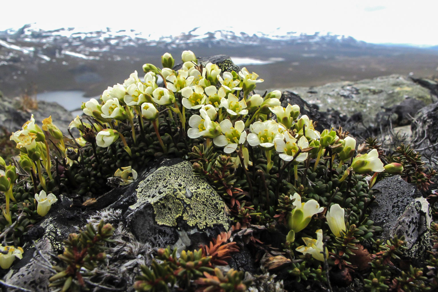 Valokuvaaja: Kristiina Johansson