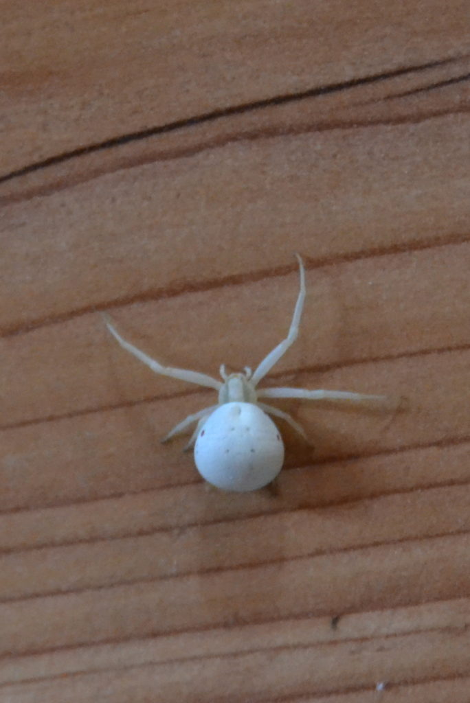 Valokuvaaja: Eero Paso Valokuvaaja: Eero Paso