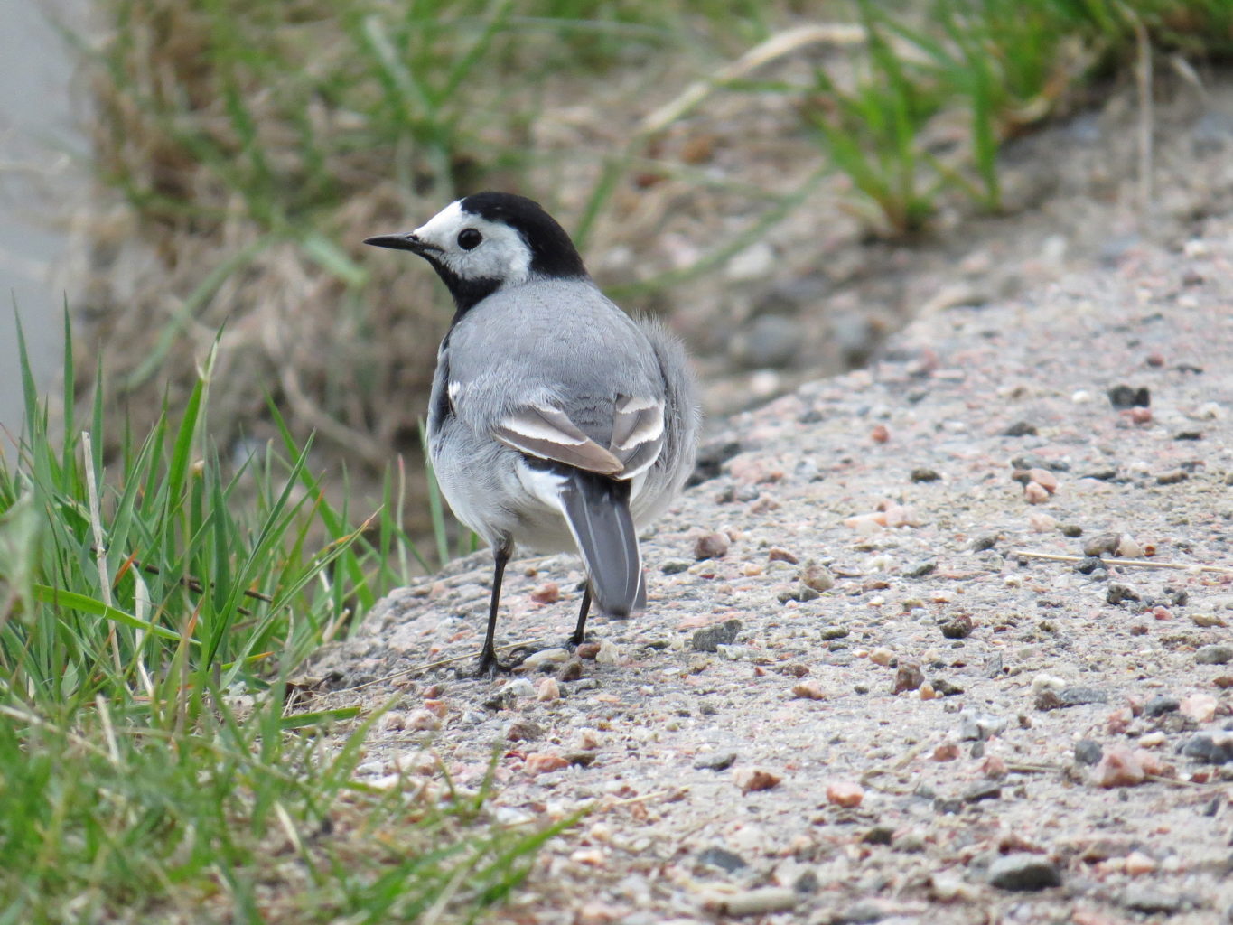 Valokuvaaja: Jaana Talvinen