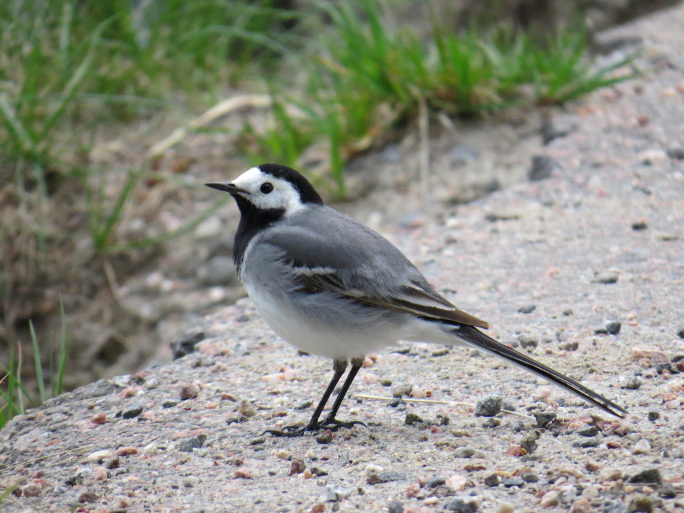 Valokuvaaja: Jaana Talvinen
