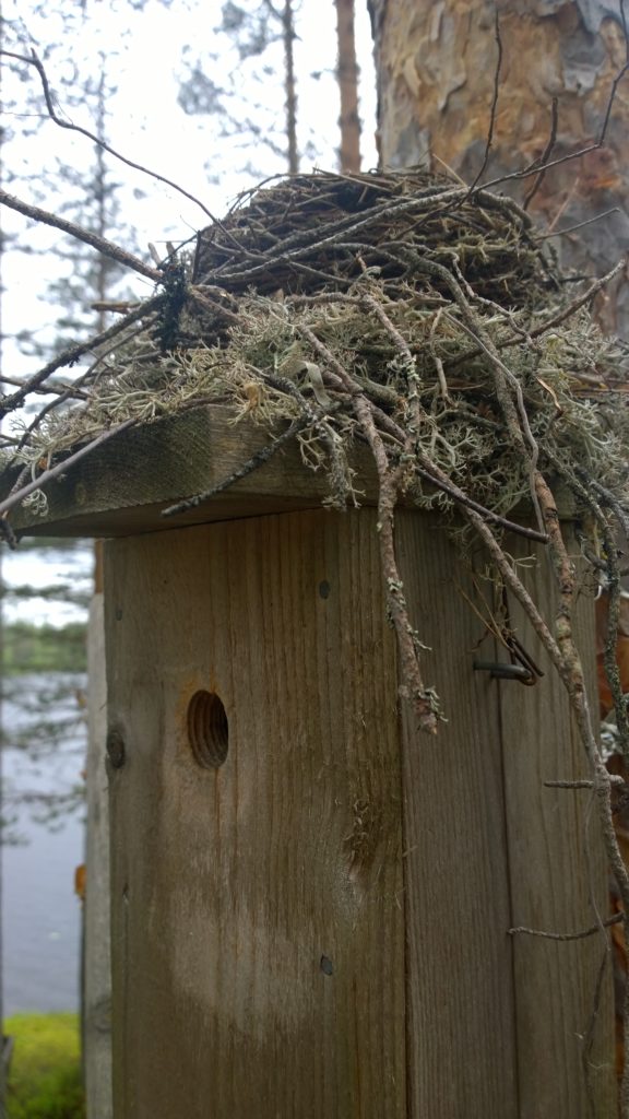 Valokuvaaja: Ahti Keränen