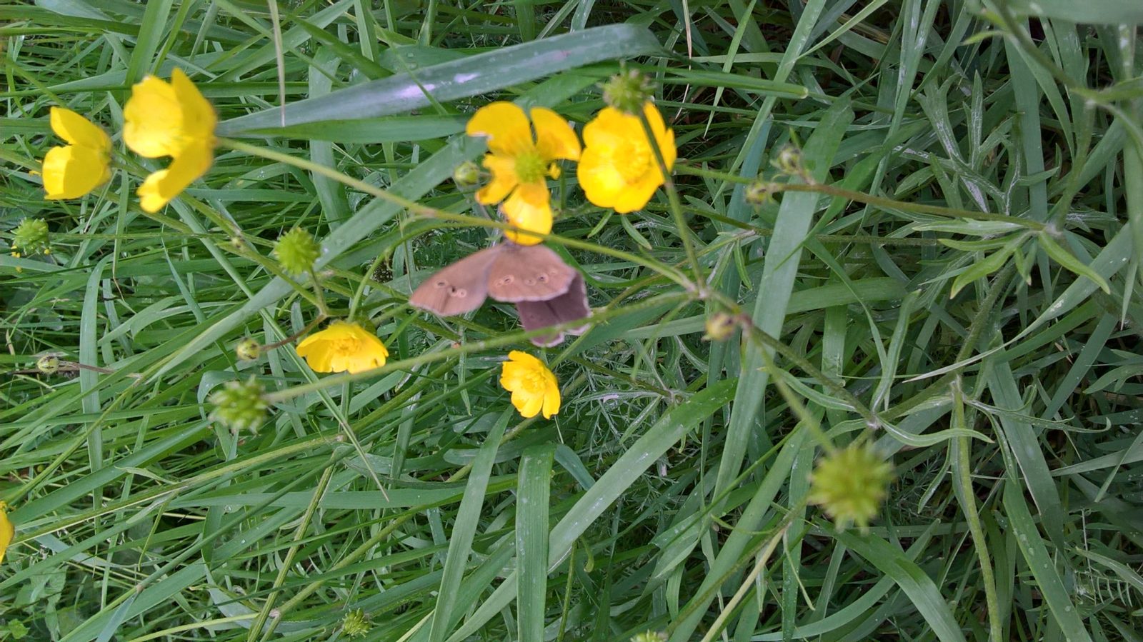 Valokuvaaja: Eija Johanna Saastamoinen