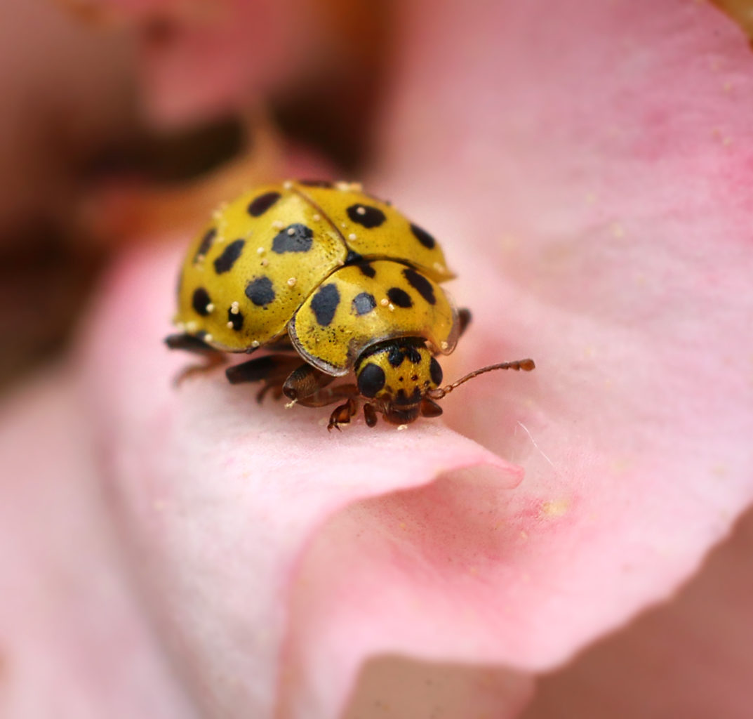 Valokuvaaja: Tarja Porkkala