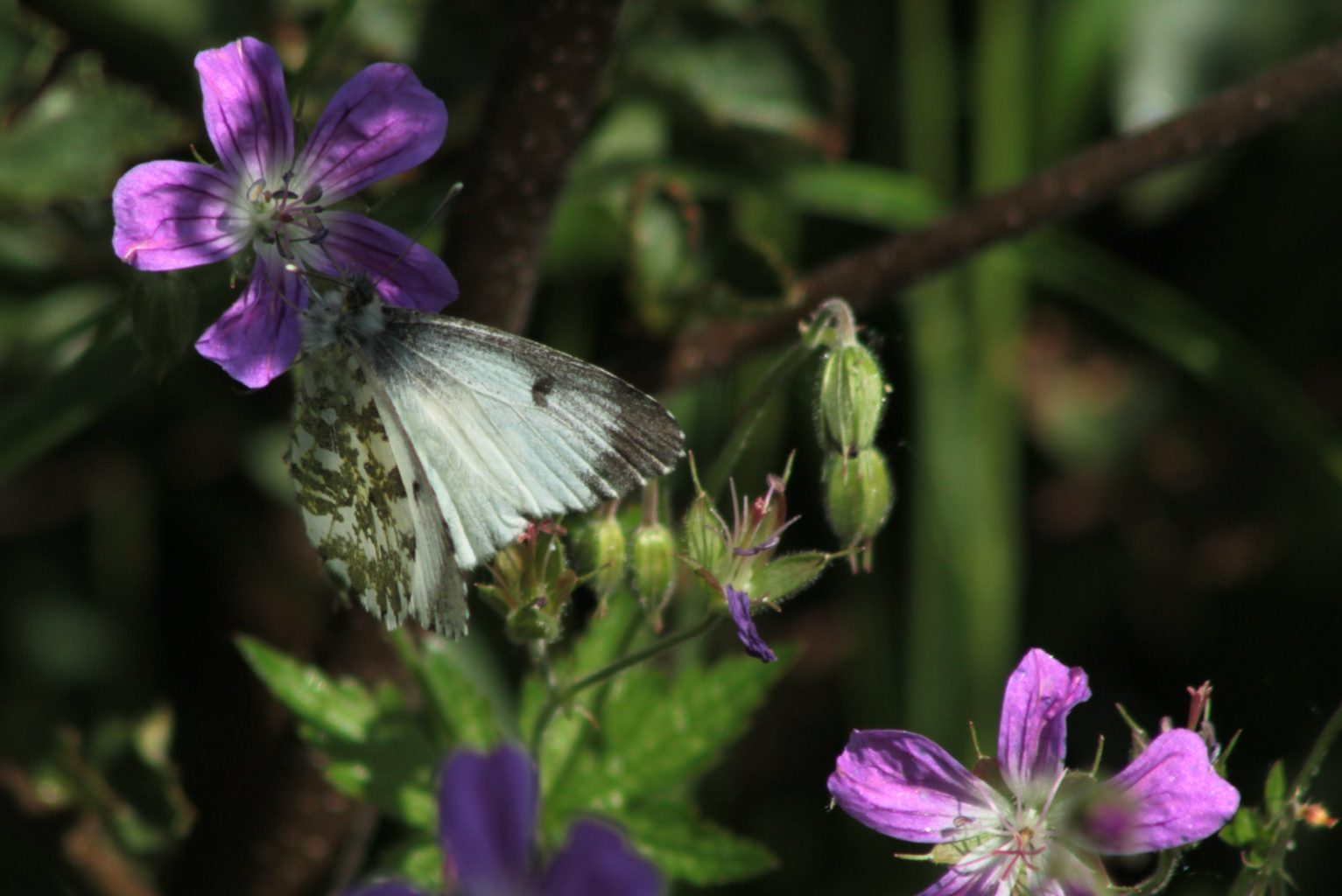 Valokuvaaja: Päivi Salonen