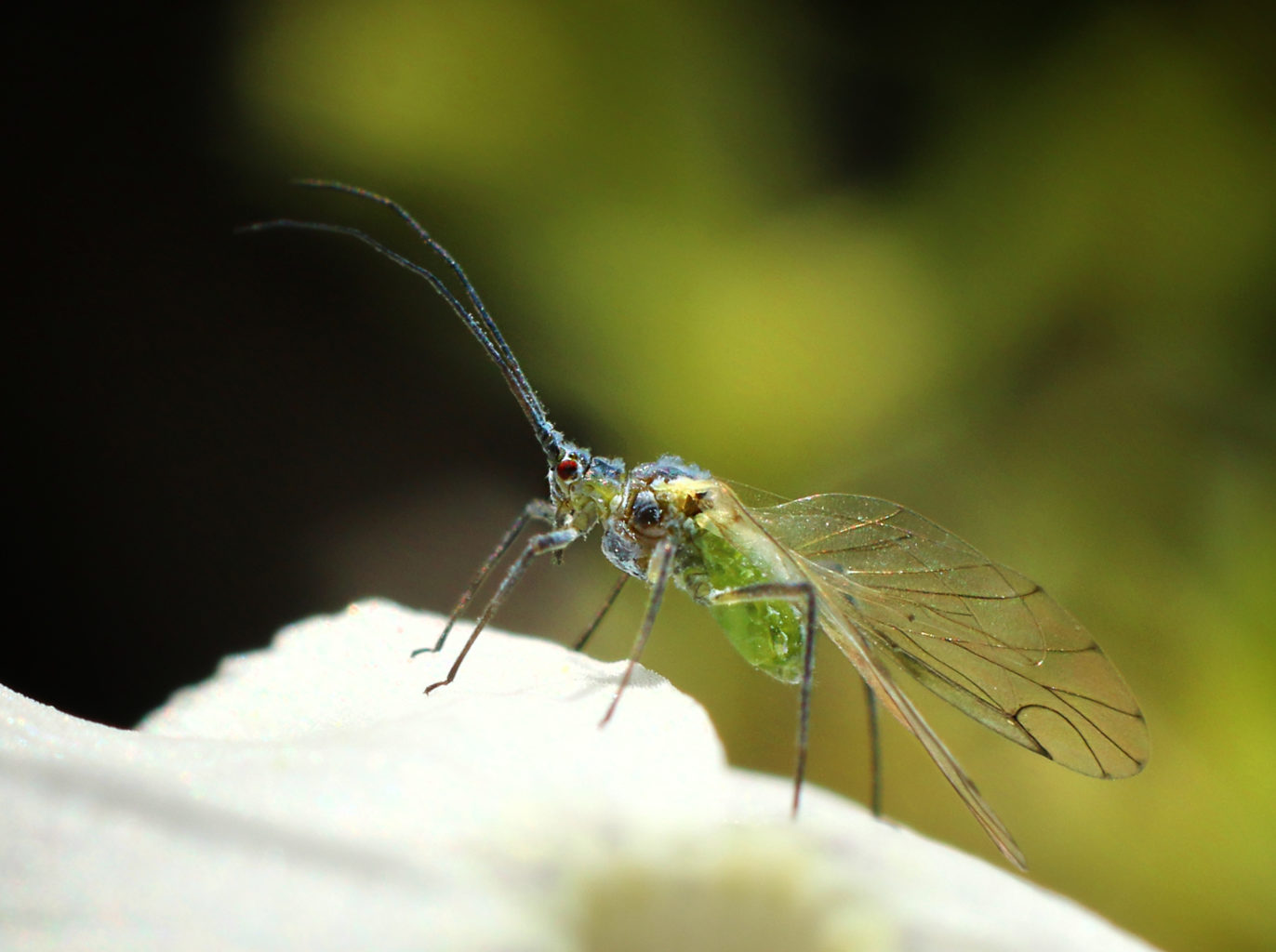 Valokuvaaja: Tarja Porkkala