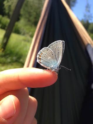 Valokuvaaja: Elli Holappa