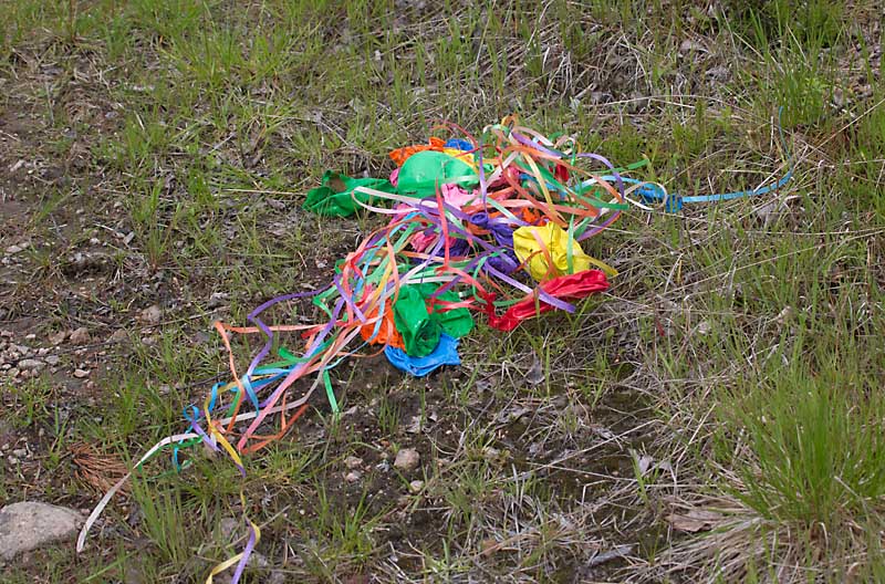 Valokuvaaja: Anna-Liisa Pirhonen