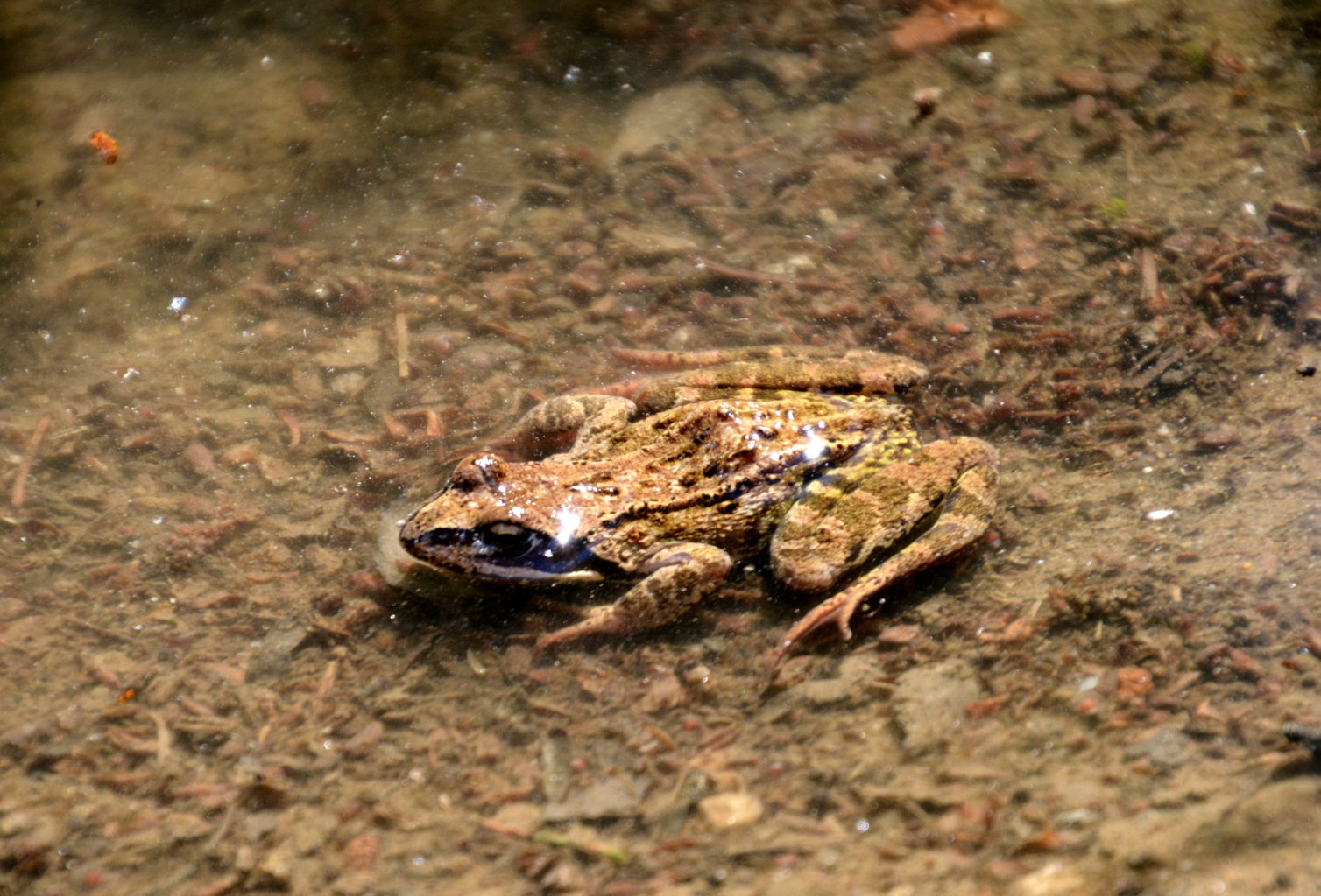 Valokuvaaja: MIKKO T.  SAVOLAINEN