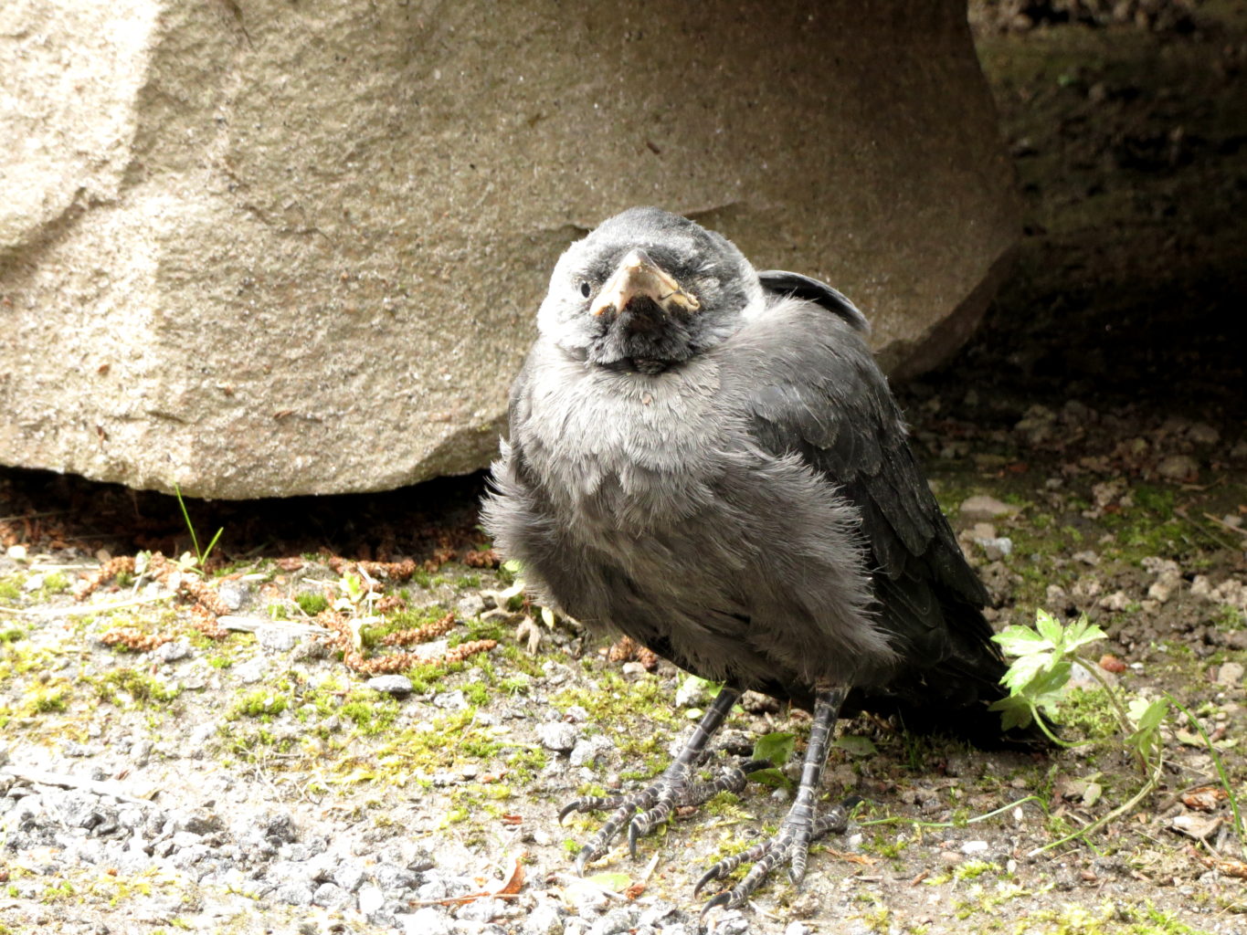 Valokuvaaja: Mikko Savolainen