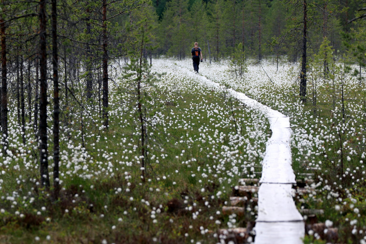 Valokuvaaja: Ahti Keränen