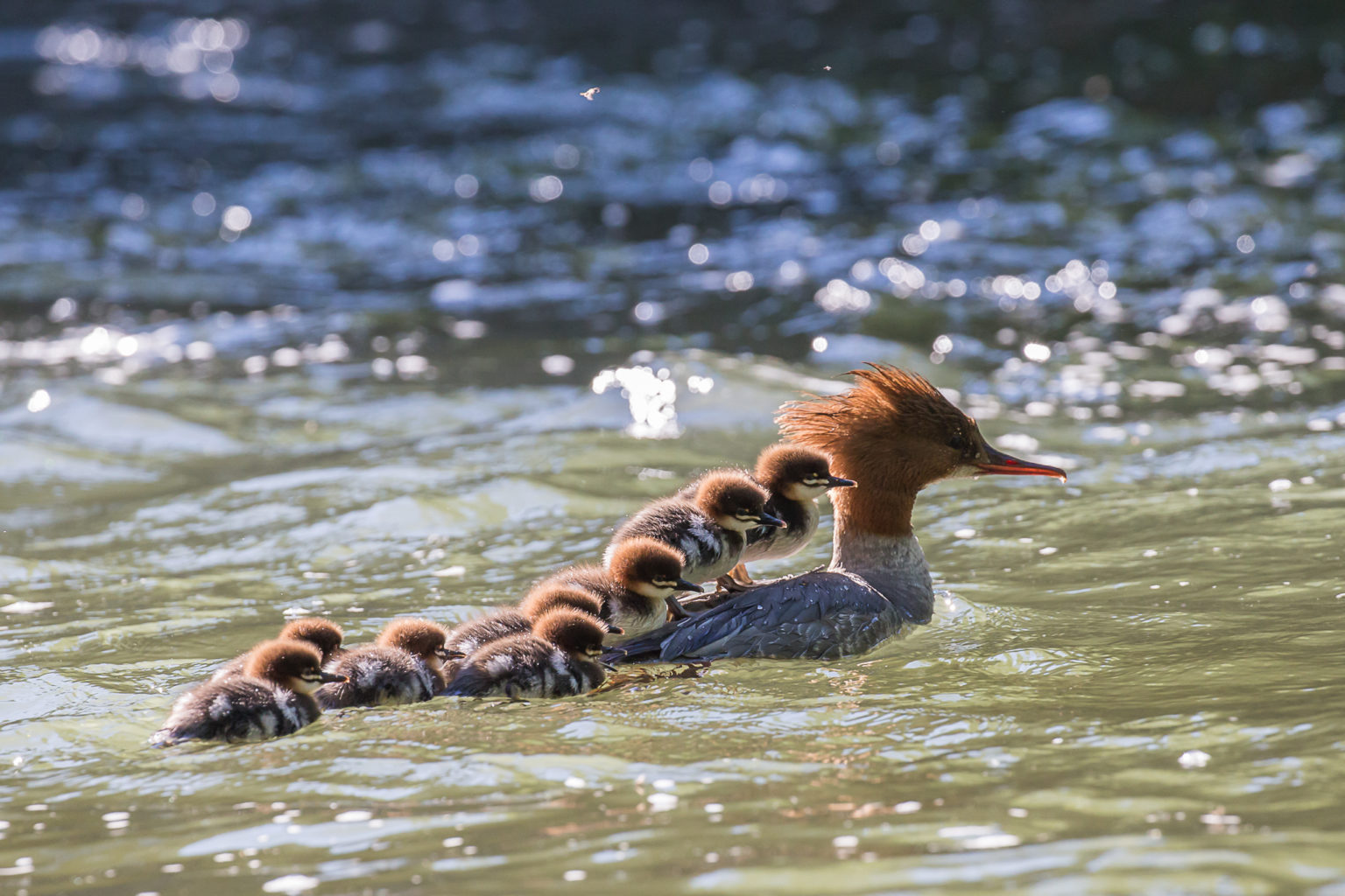 Valokuvaaja: Timo J Saarinen