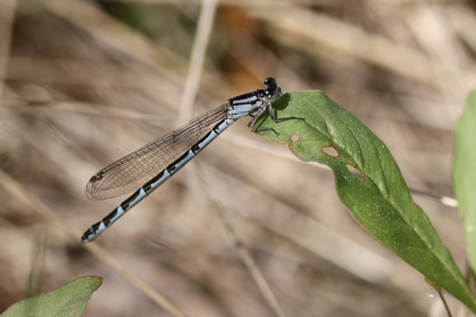 Valokuvaaja: Päivi Salonen Valokuvaaja: Päivi Salonen