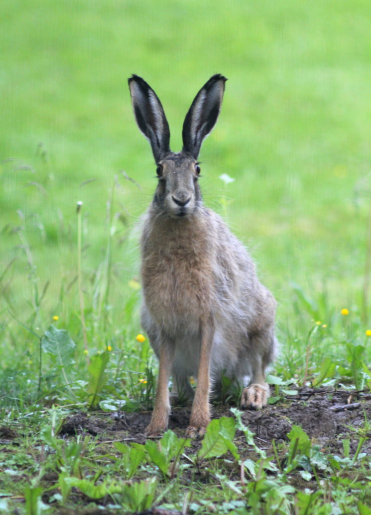 Valokuvaaja: Kalle Asikainen