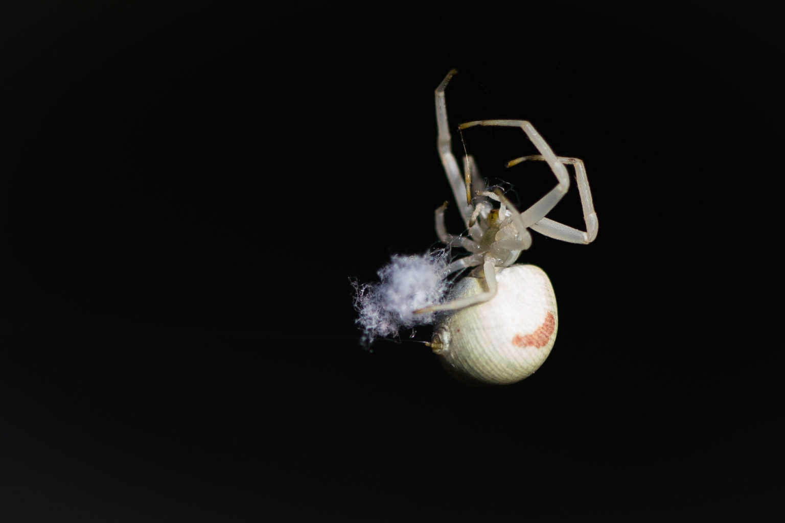 Valokuvaaja: Pirkko Hietaniemi