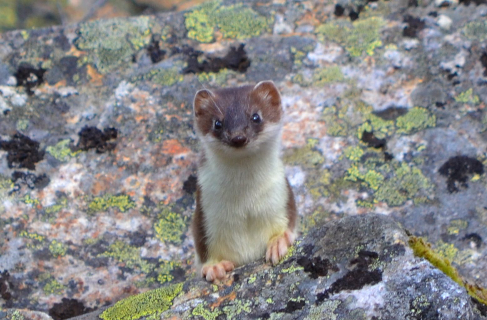 Valokuvaaja: Leena Rissanen