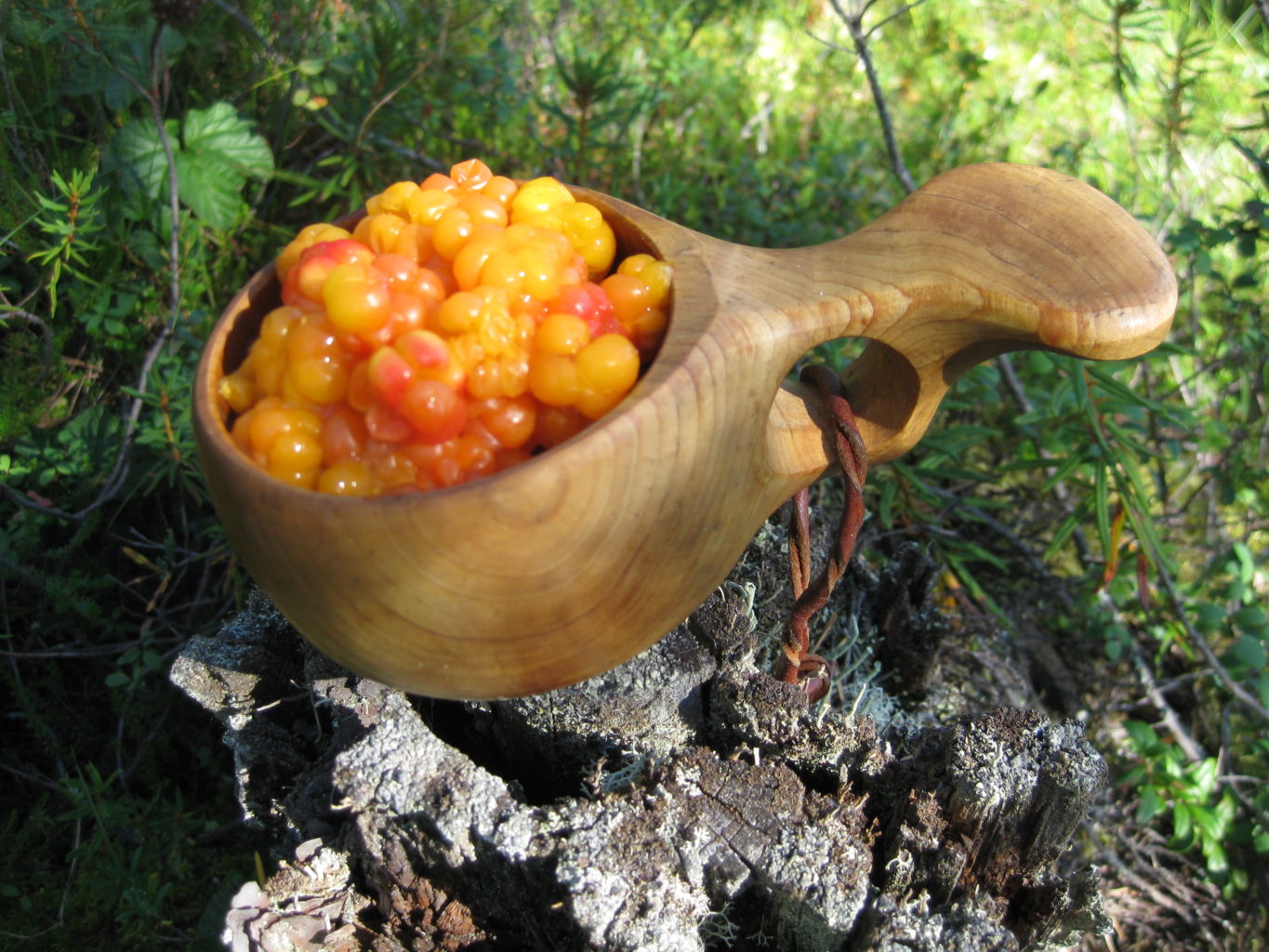 Valokuvaaja: yrjo lukkari