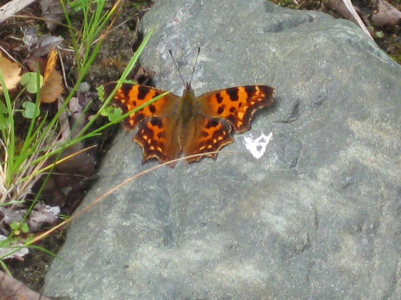 Valokuvaaja: yrjo lukkari