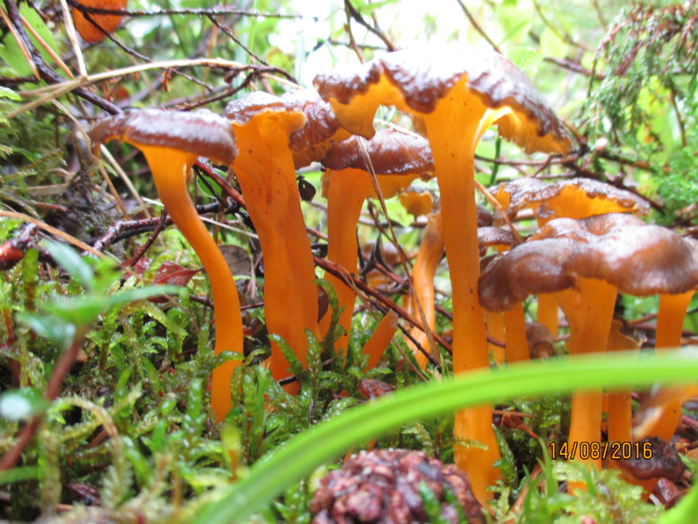 Valokuvaaja: yrjo lukkari