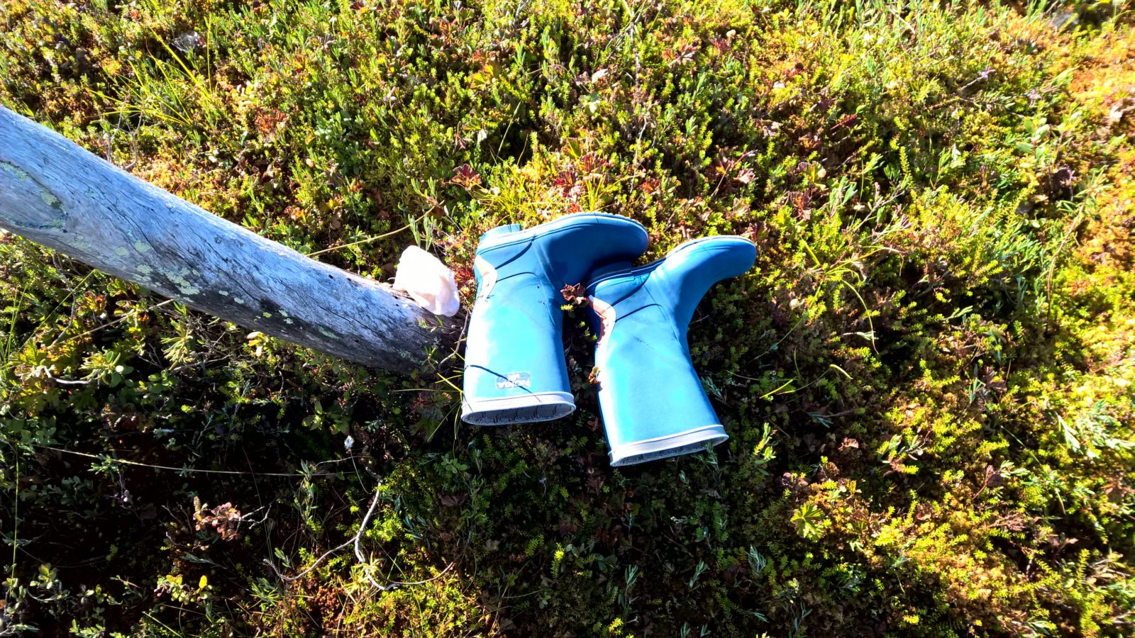 Valokuvaaja: yrjo lukkari