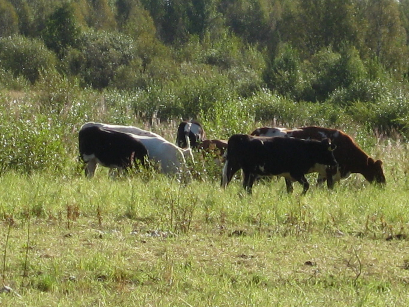 Valokuvaaja: yrjo lukkari