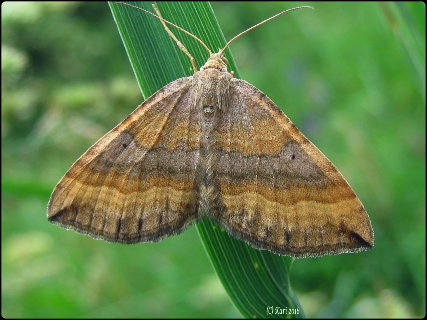 Valokuvaaja: Kari Saarinen