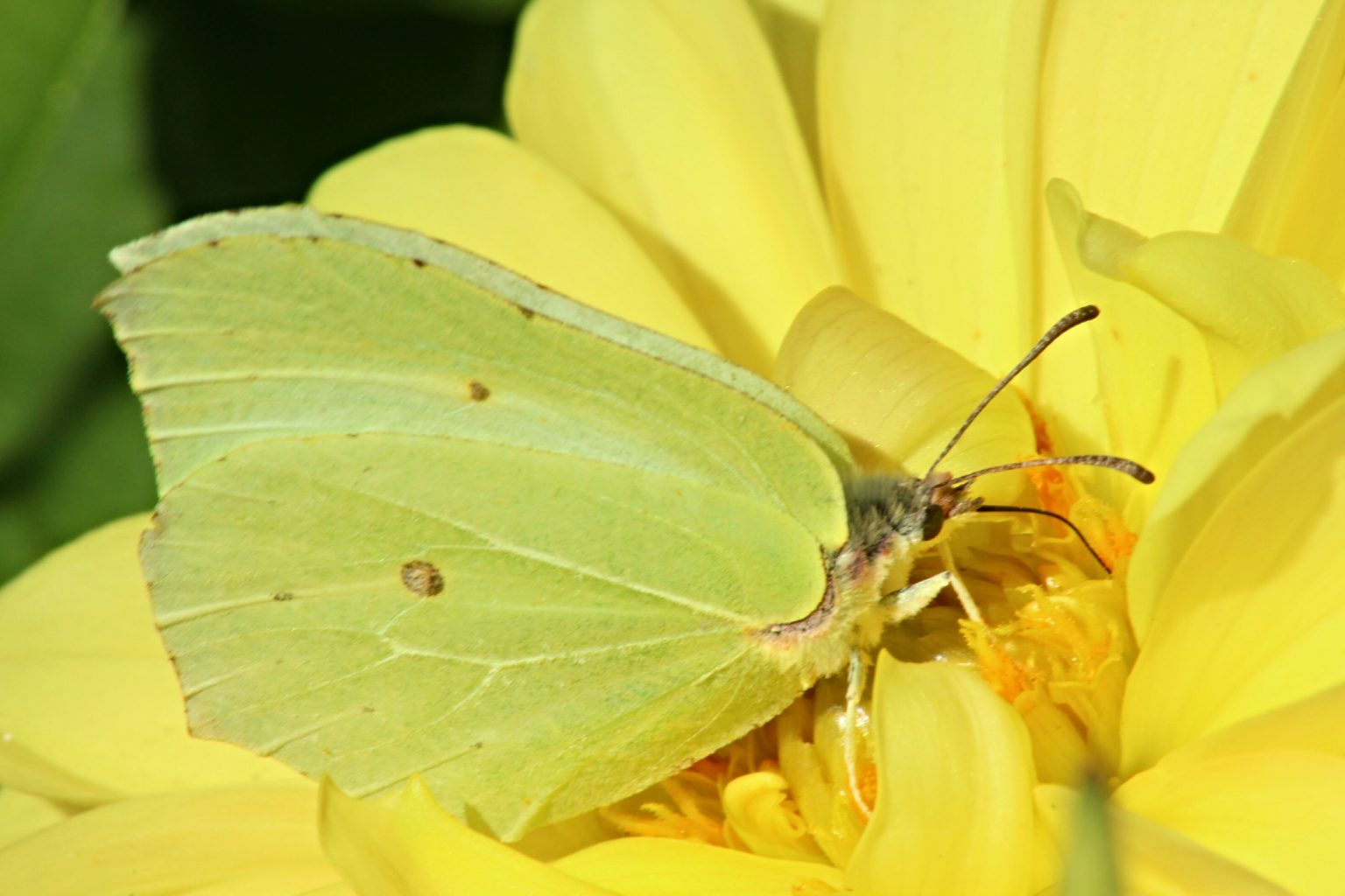 Valokuvaaja: Miia Pesu