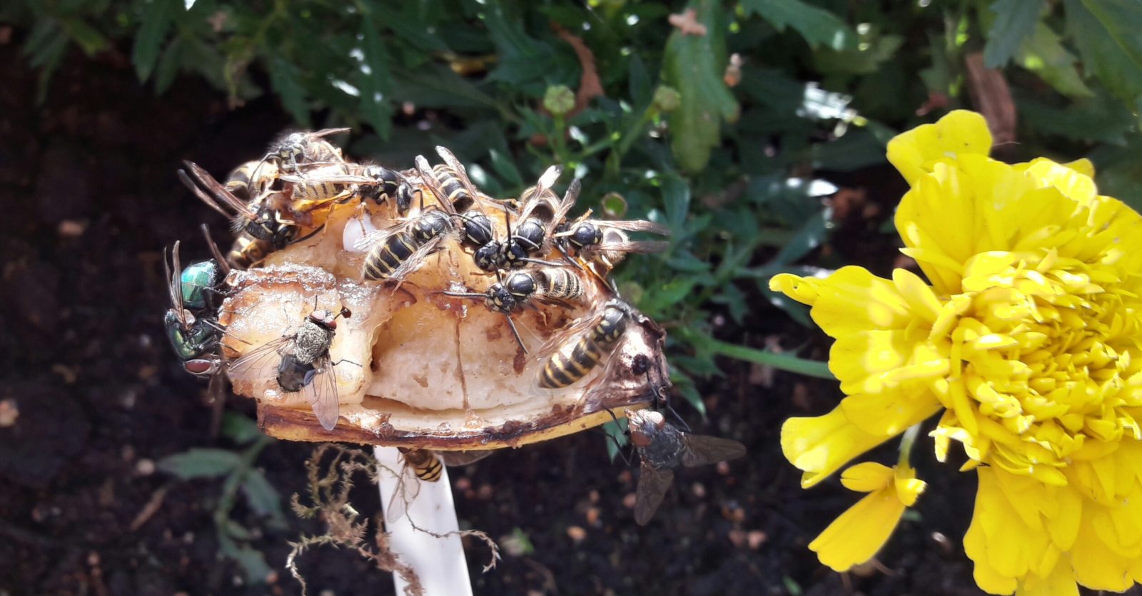 Valokuvaaja: TUULA Makkonen