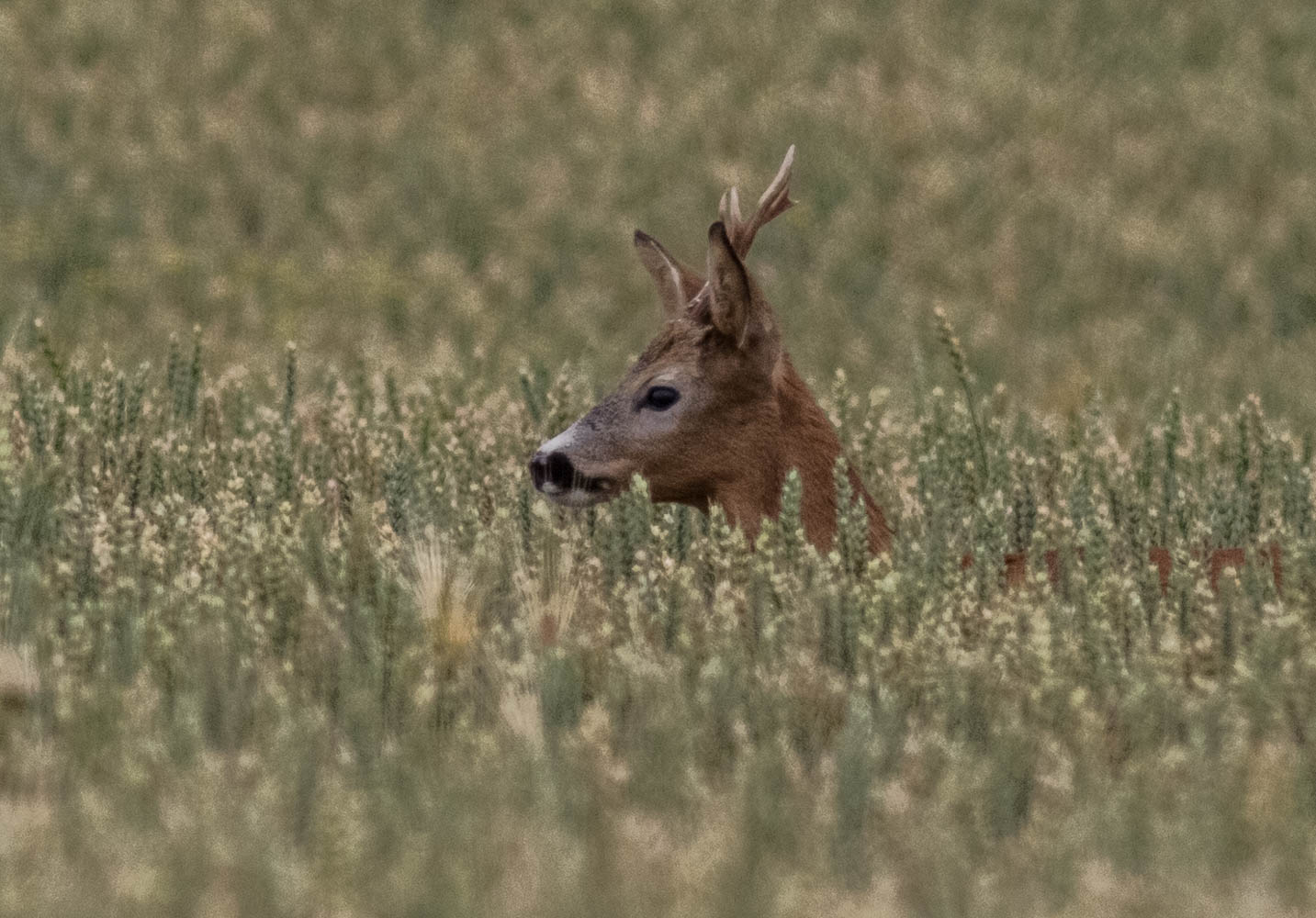 Valokuvaaja: Markku Salonen