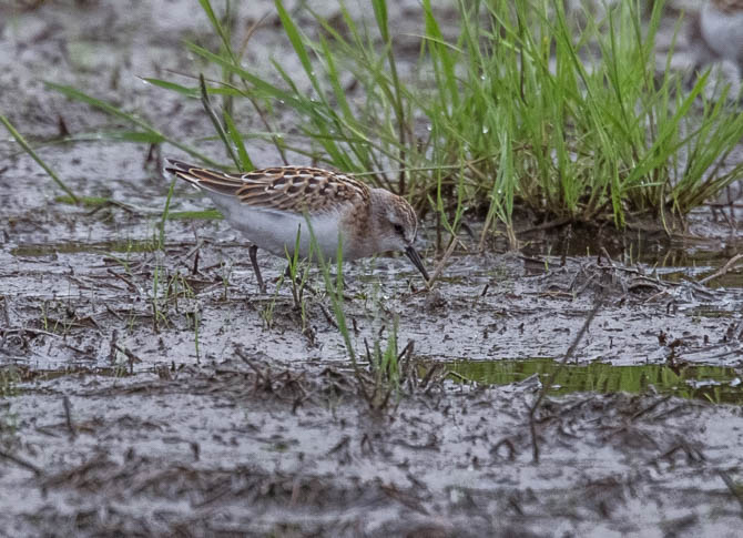 Valokuvaaja: Markku Salonen