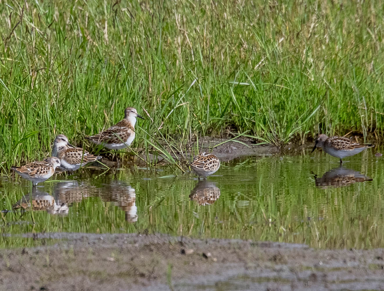 Valokuvaaja: Markku Salonen