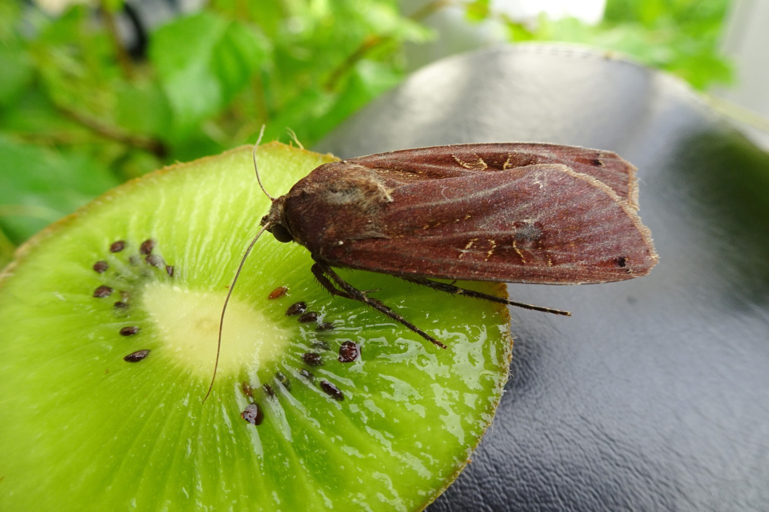 Valokuvaaja: Irja lehtinen