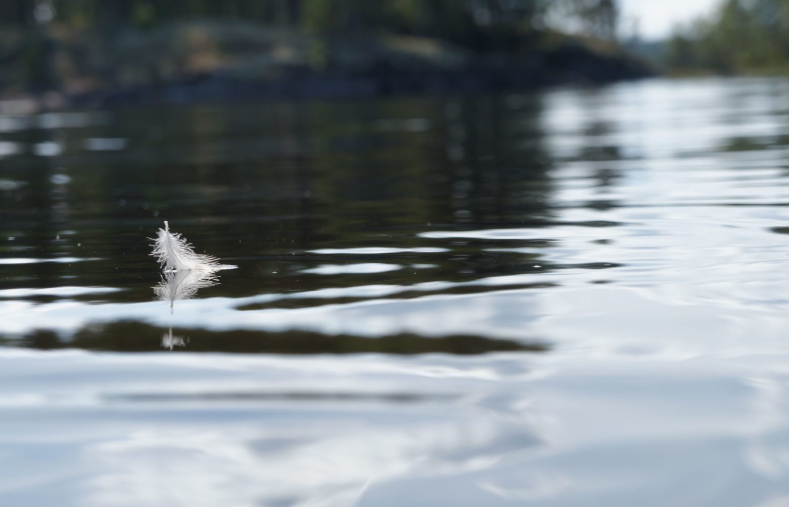 Valokuvaaja: Terhi Hämäläinen