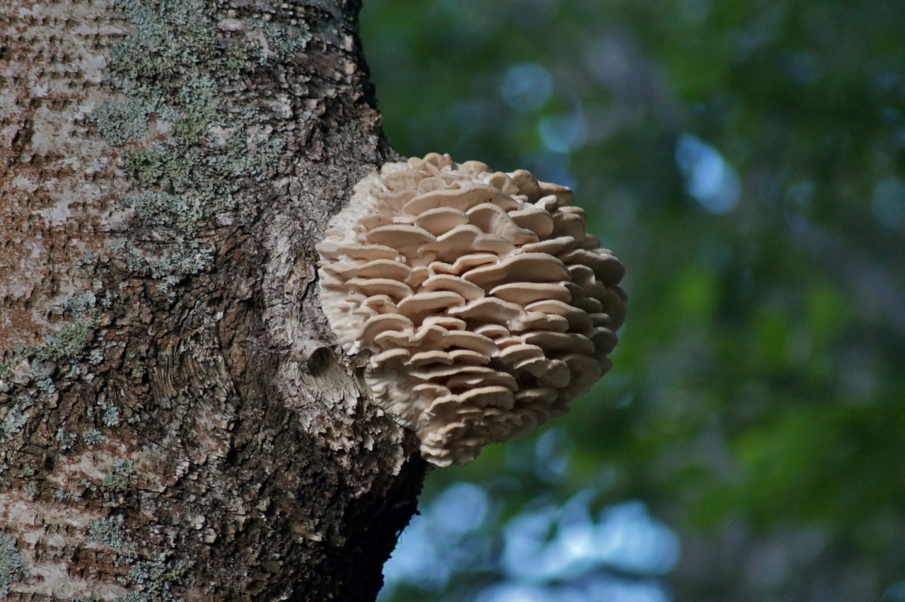 Valokuvaaja: Maarit Siitonen