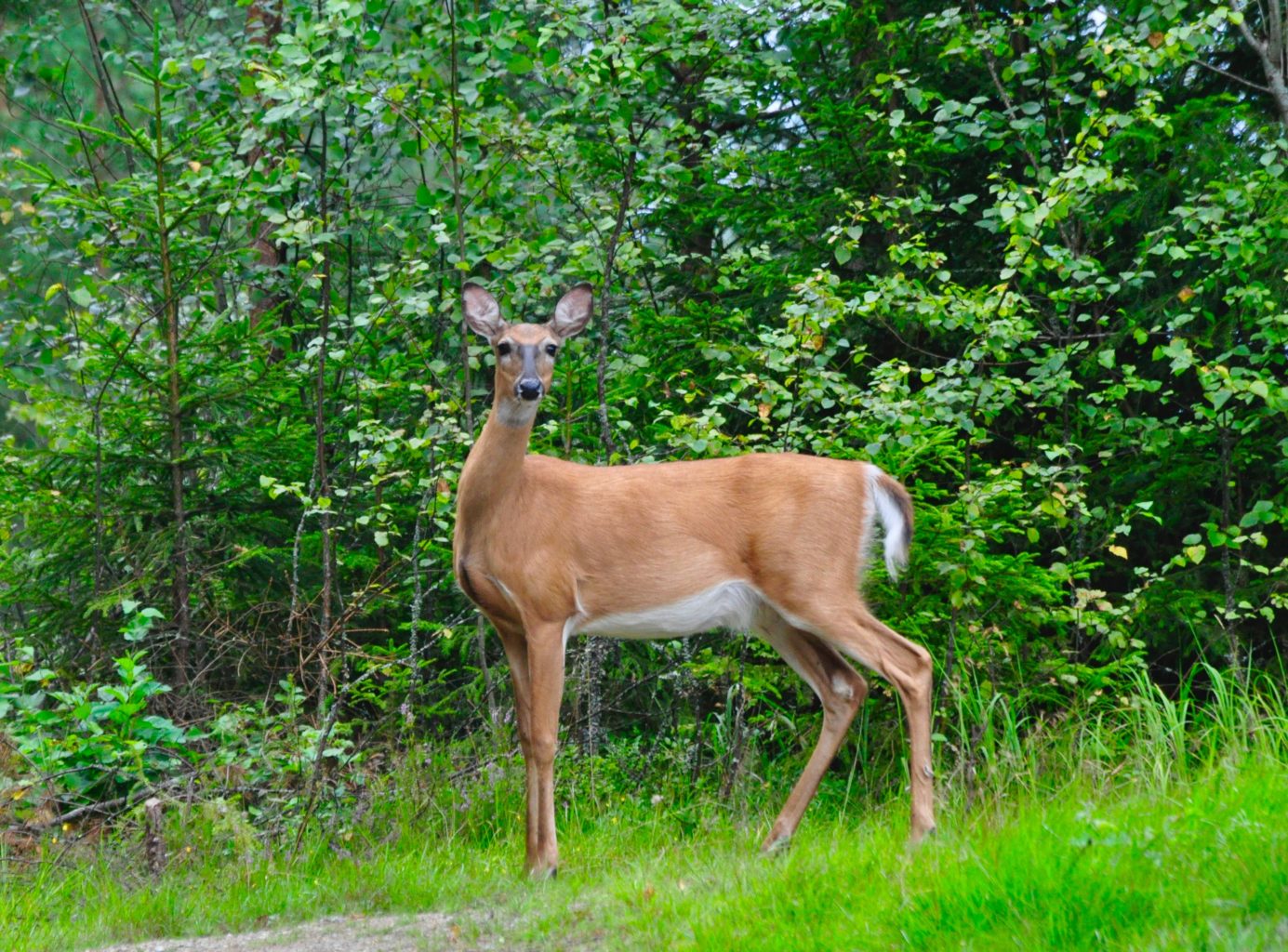 Valokuvaaja: Jenni Merilä