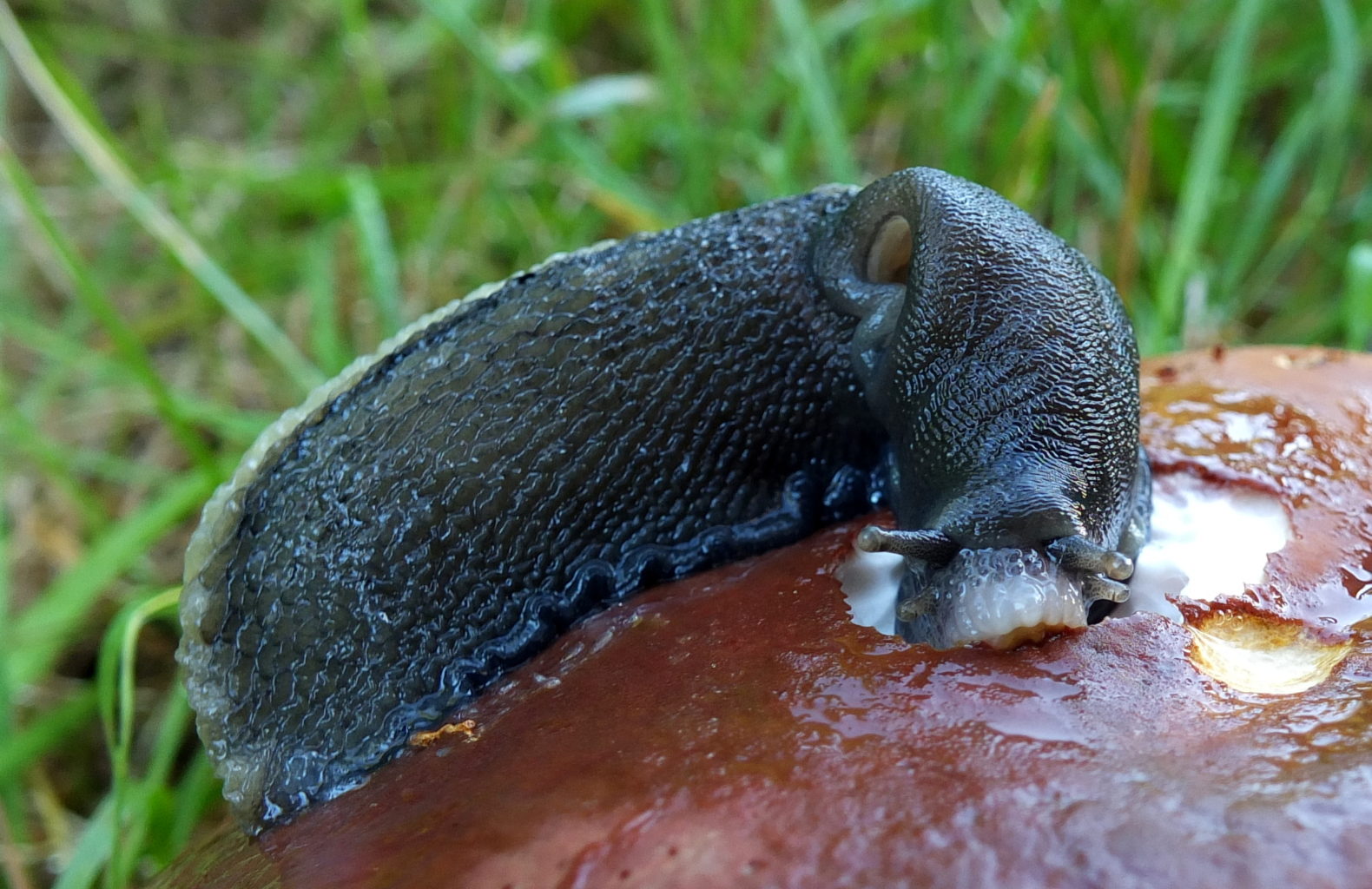 Valokuvaaja: Hannu Rasiranta
