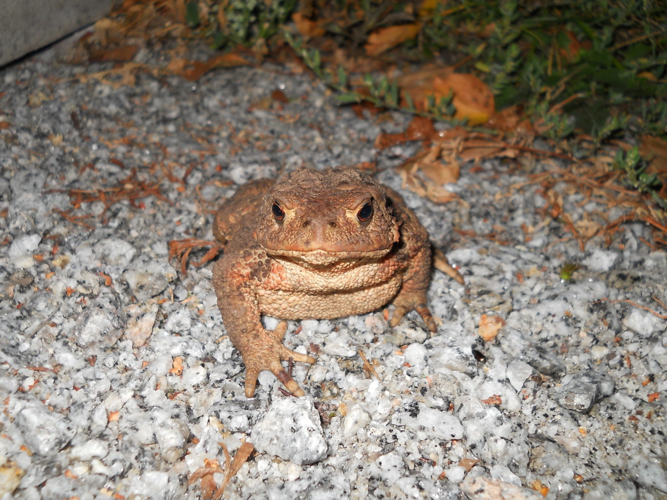 Valokuvaaja: Jenna Alanen