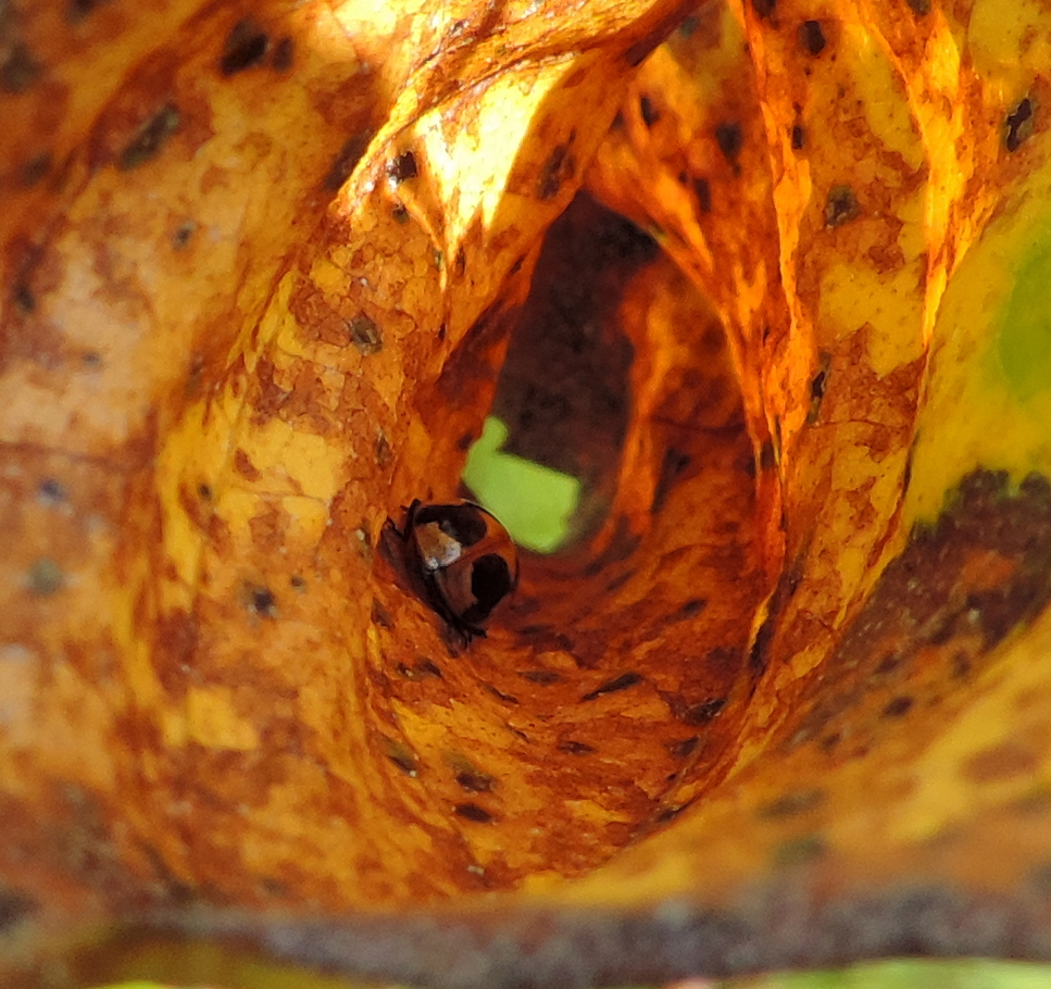 Valokuvaaja: Helena Sytelä